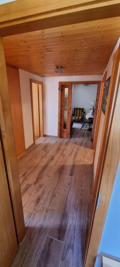 Le Panorama - Appartement 54 A Arolla Face Aux Montagnes A 150M Des Pistes Evolène Zewnętrze zdjęcie