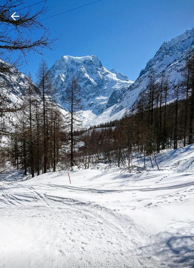 Le Panorama - Appartement 54 A Arolla Face Aux Montagnes A 150M Des Pistes Evolène Zewnętrze zdjęcie