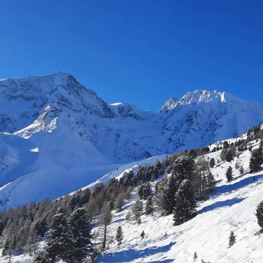 Le Panorama - Appartement 54 A Arolla Face Aux Montagnes A 150M Des Pistes Evolène Zewnętrze zdjęcie